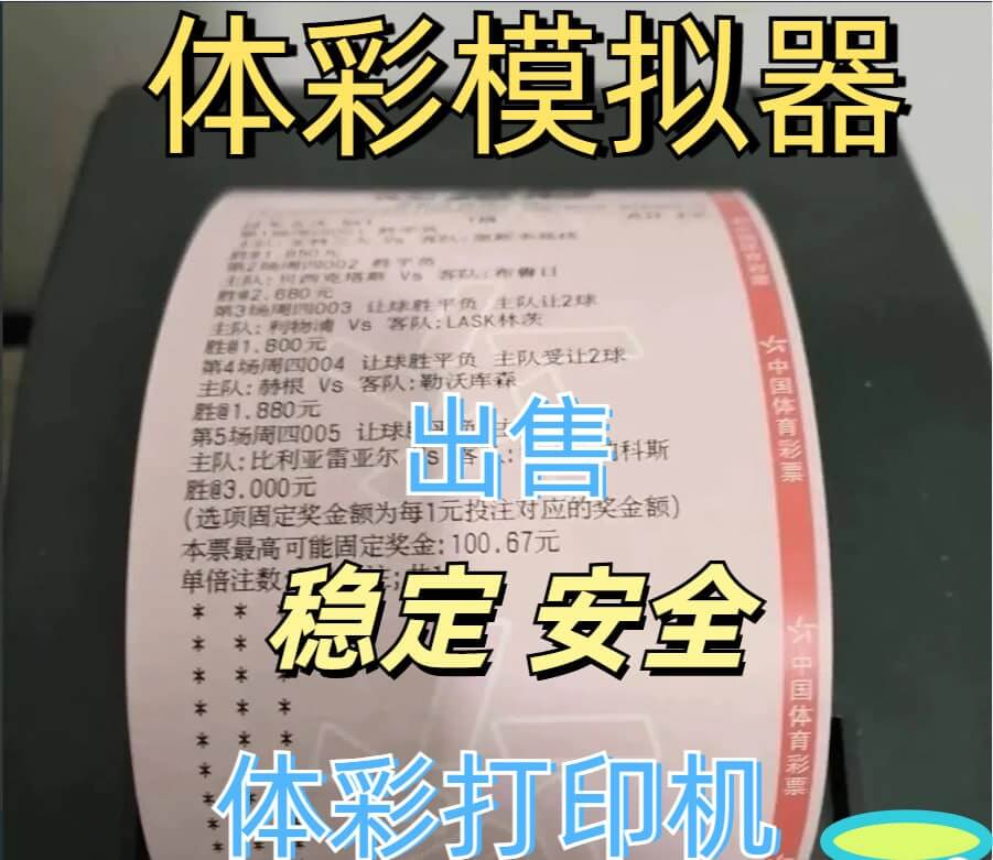 体彩打印出票软件